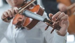 Erwachsene Geige lernen