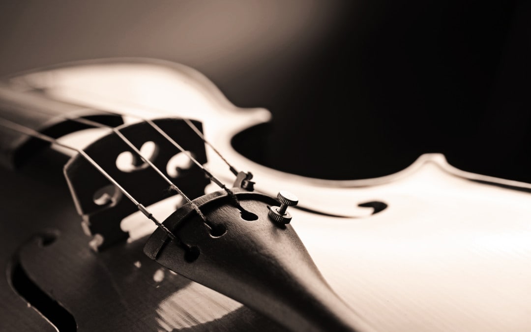 Geige kaufen: Die beste Geige und Adresse (Vergleich)